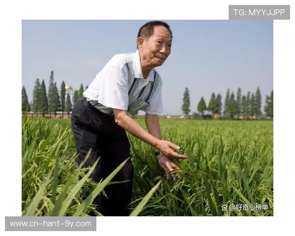 陈江华:中国计算机科学家的探索与贡献 陈江华:中国计算机科学家的探索与贡献