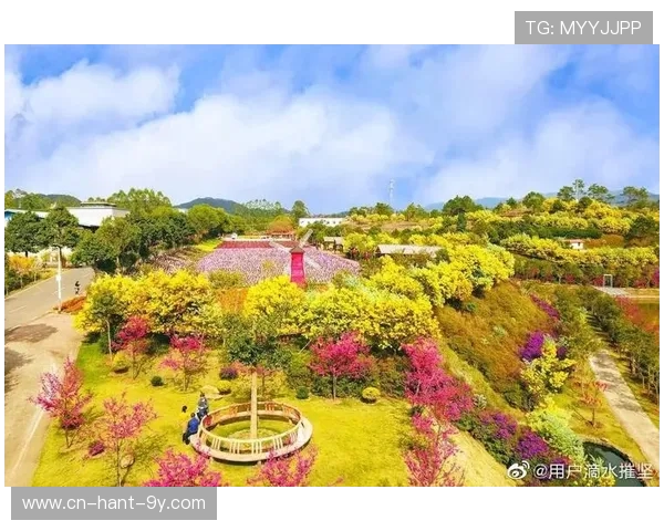 花海王者踏浪而来缔造绚烂盛景点燃心中无尽浪漫幻想