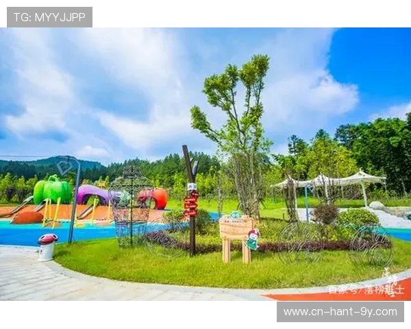 南京攀岩队创新盯防策略助力竞技水平提升与团队协作优化