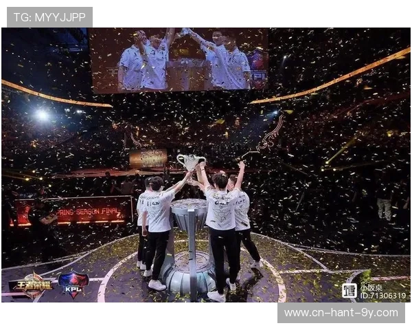 王者荣耀深度解析：LNG战队意识与团队协作的完美结合