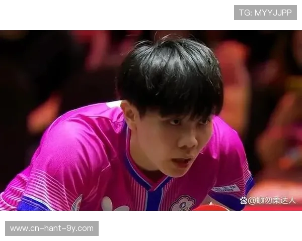 2012郑怡静对决精彩瞬间回顾与赛场背后的故事揭秘